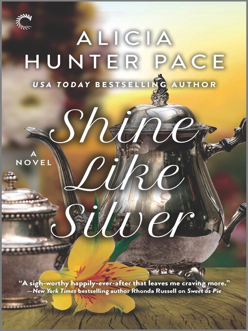 Cover image for Shine Like Silver